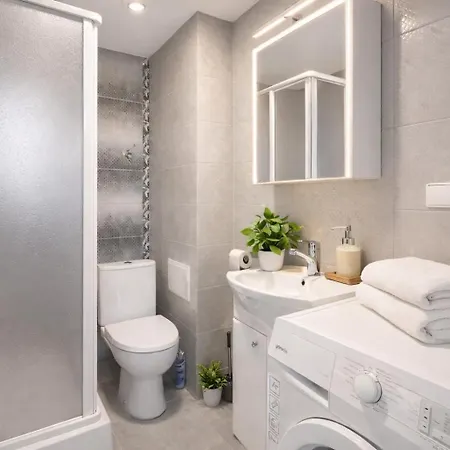 Giedres Old Town 公寓 考纳斯