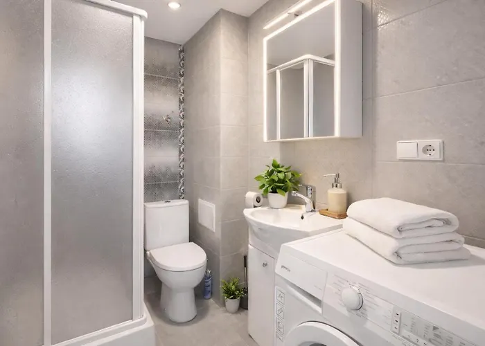 Giedres Old Town 公寓 考纳斯